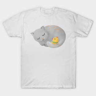 Cat sleeping with small bird - kids illustration T-Shirt